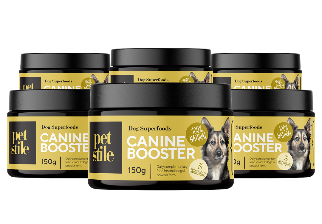 Canine Booster