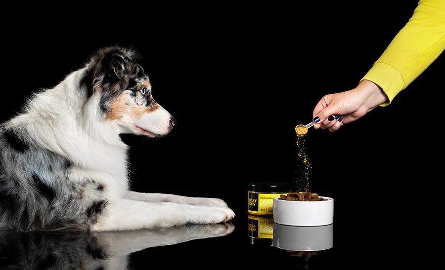 Canine Booster